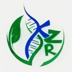 新疆康智睿生物医学技术服务有限公司